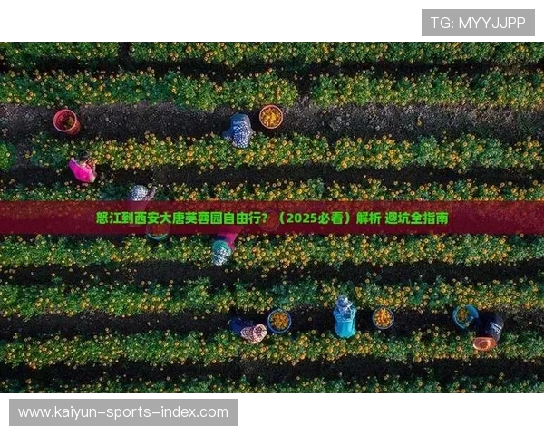 在线看球彩票与数字高频玩法防骗避坑指南 在线看球彩票与数字高频玩法防骗避坑指南